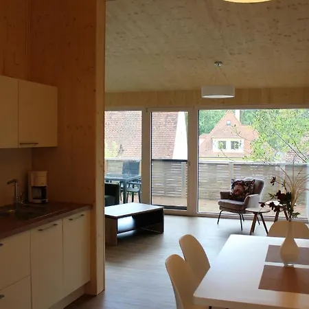 Steigerwald-apartments شقة *